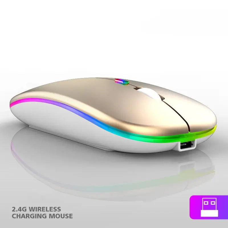 2.4G Wireless Mouse RGB Colorful Mouse Rechargeable Mouse Silent Mouse USB Gaming Mouse Mice 1600DPI for PC Laptop Macbook Pro My Store