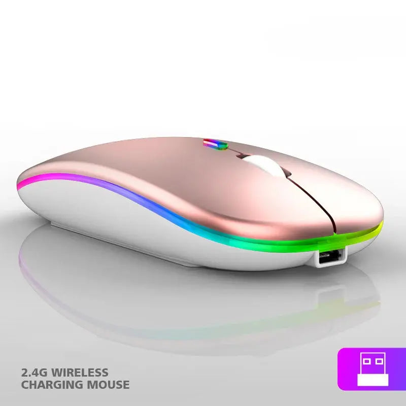 2.4G Wireless Mouse RGB Colorful Mouse Rechargeable Mouse Silent Mouse USB Gaming Mouse Mice 1600DPI for PC Laptop Macbook Pro My Store